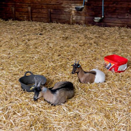 Villa Roosters Rest Beccles Exterior foto